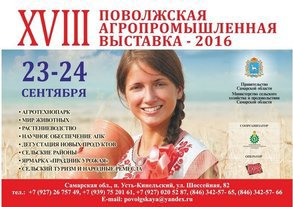 Описание изображения