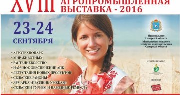 Описание изображения