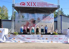 Описание изображения